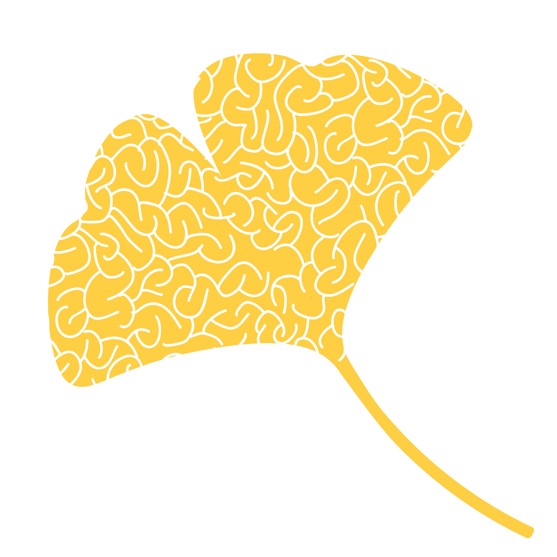 Biloba ETS – Associazione Culturale